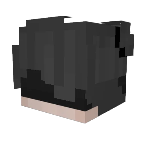 stoopidranga Minecraft avatar head, 3D render