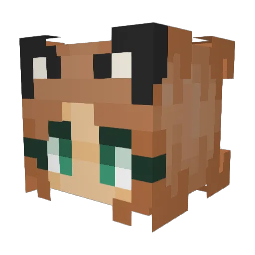 stop_cry Minecraft avatar head, 3D render