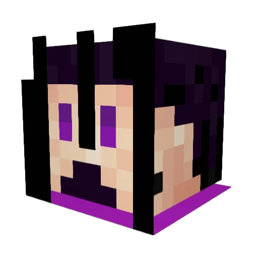 stopboorider Minecraft avatar head, 3D render