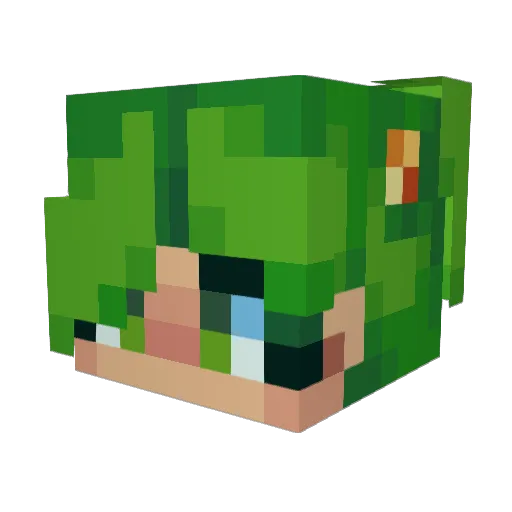 stopbreathingo2 Minecraft avatar head, 3D render
