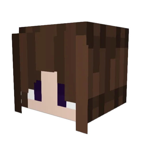 stopchanging_ Minecraft avatar head, 3D render