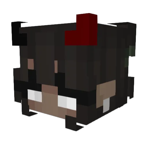 stoplooking6765 Minecraft avatar head, 3D render