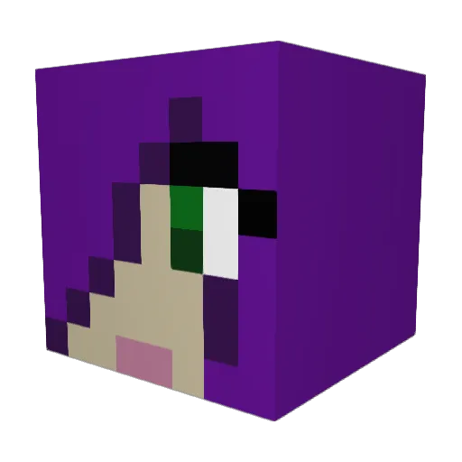 stoppelhops Minecraft avatar head, 3D render