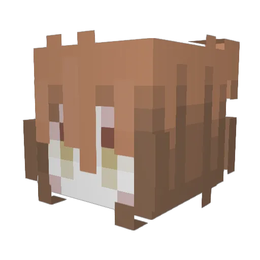 stoptrolling Minecraft avatar head, 3D render