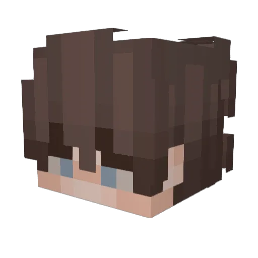 stordito Minecraft avatar head, 3D render
