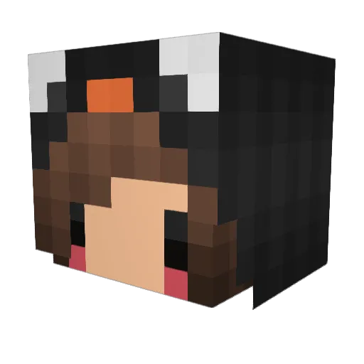 storeD_x_gamer Minecraft avatar head, 3D render