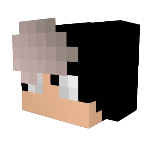 stormageddon69 Minecraft avatar head, 3D render
