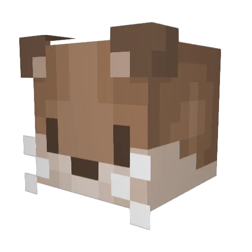 stormbtway Minecraft avatar head, 3D render