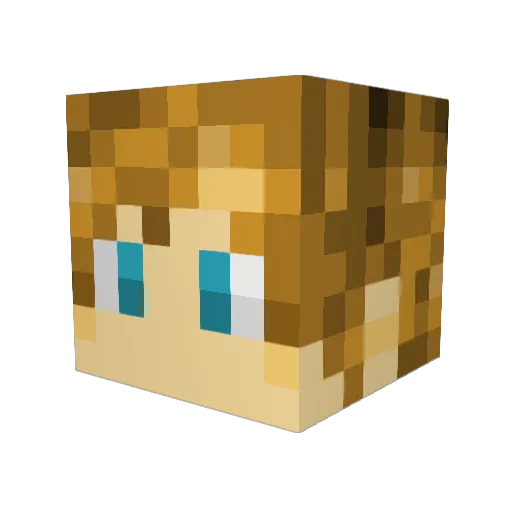 stormchange Minecraft avatar head, 3D render