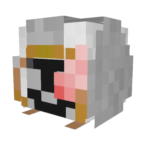 stormcloakninja Minecraft avatar head, 3D render