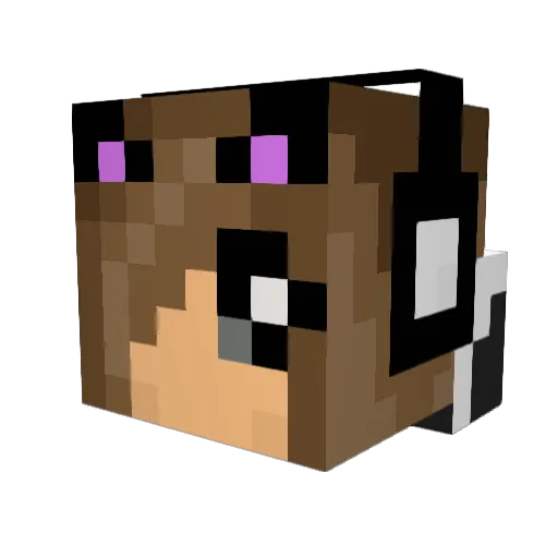 stormcloud2002 Minecraft avatar head, 3D render