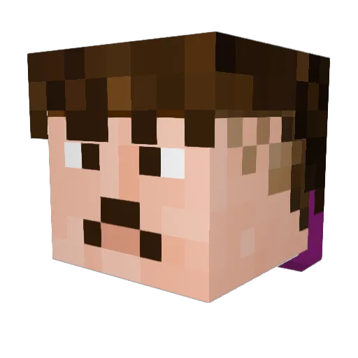 stormik4wb Minecraft avatar head, 3D render