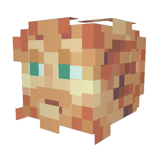 stormwatermgmt Minecraft avatar head, 3D render
