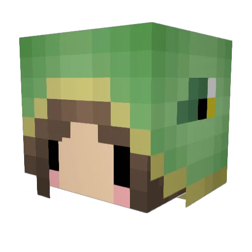 stormy20000 Minecraft avatar head, 3D render
