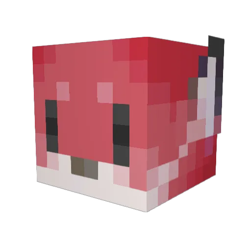stormy_foxie Minecraft avatar head, 3D render