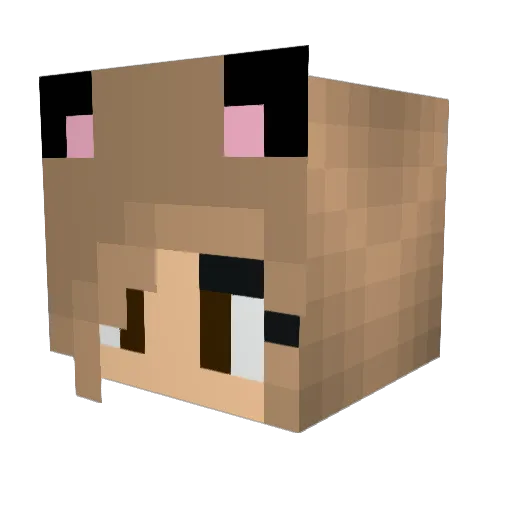 stornila2 Minecraft avatar head, 3D render