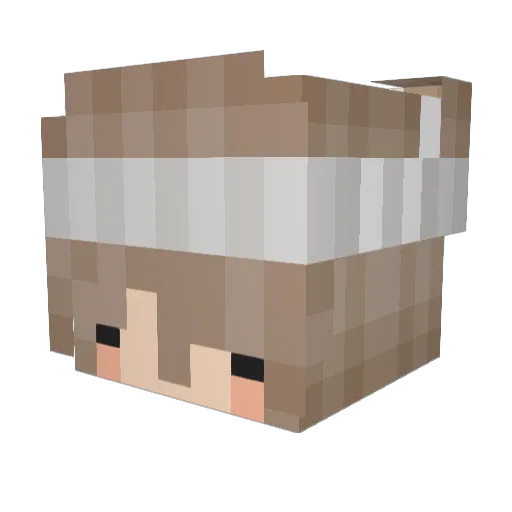 stot Minecraft avatar head, 3D render