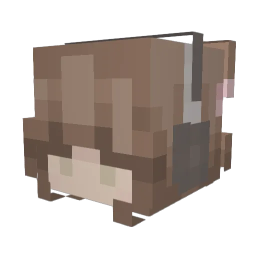 stphenaiee Minecraft avatar head, 3D render
