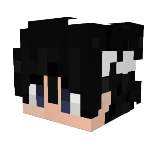 stqx2k Minecraft avatar head, 3D render