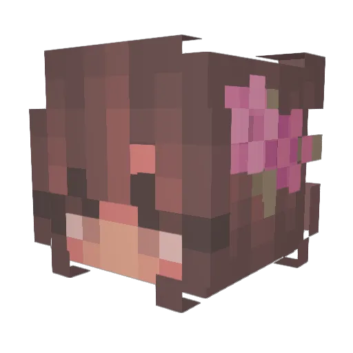 str1ker78 Minecraft avatar head, 3D render