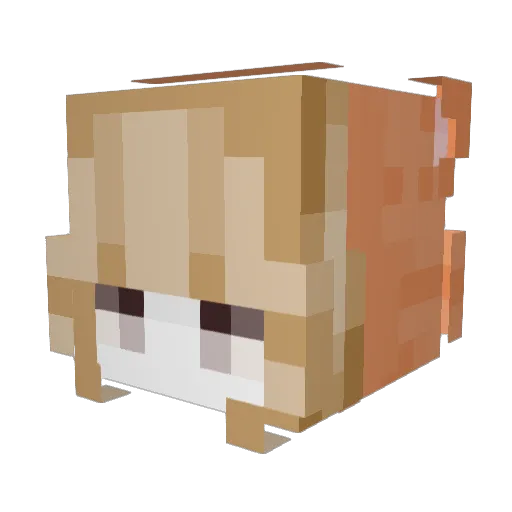 str4wberryskies Minecraft avatar head, 3D render