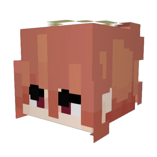 str4y_ Minecraft avatar head, 3D render