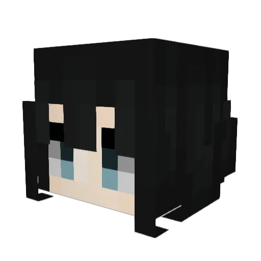 str_warfaree69 Minecraft avatar head, 3D render