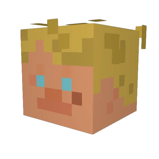 stragglywharf Minecraft avatar head, 3D render