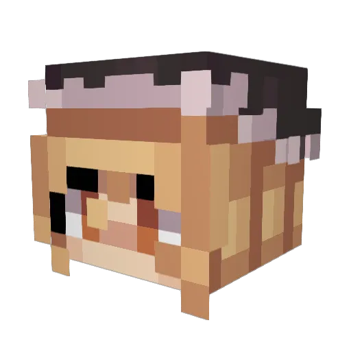 strainedmeow Minecraft avatar head, 3D render