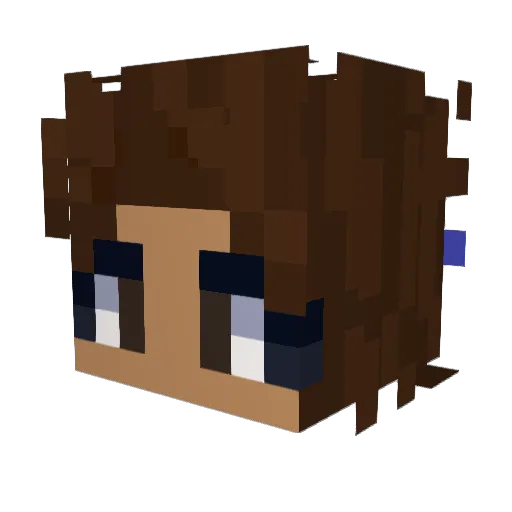 strangelove5 Minecraft avatar head, 3D render