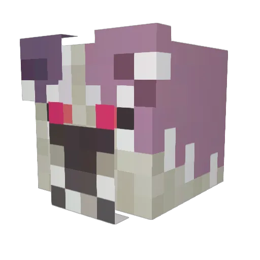 stranger_to_be Minecraft avatar head, 3D render
