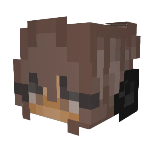 strangesteven Minecraft avatar head, 3D render