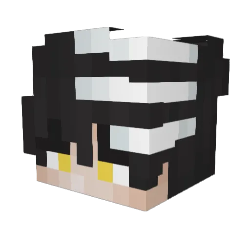 strangewayss Minecraft avatar head, 3D render