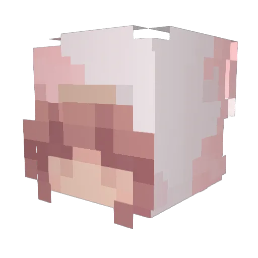 strawb3rrii Minecraft avatar head, 3D render