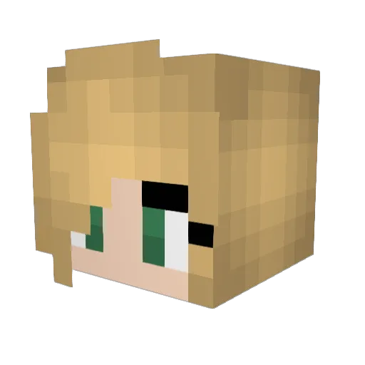 strawberries___ Minecraft avatar head, 3D render