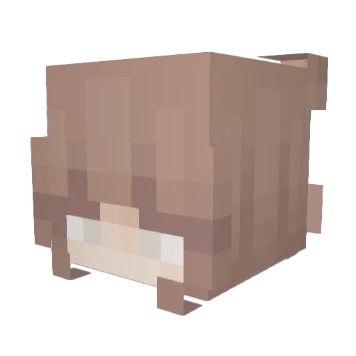 strawberryarc Minecraft avatar head, 3D render