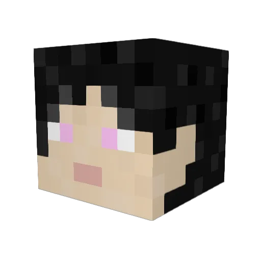 strawberrycow69 Minecraft avatar head, 3D render