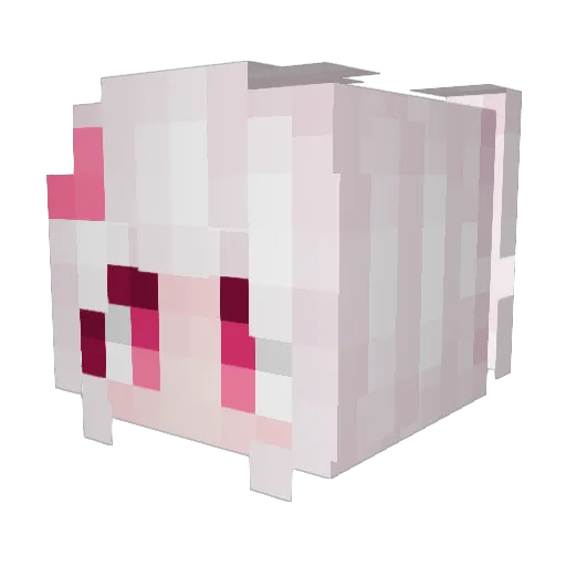 strawberrypigg Minecraft avatar head, 3D render