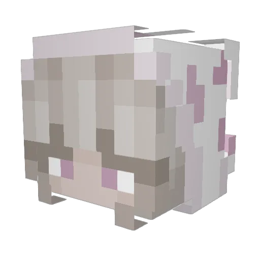 strawberrypuffle Minecraft avatar head, 3D render
