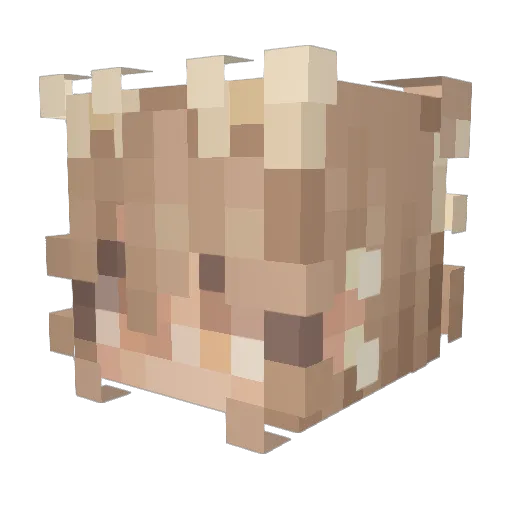 strawbunii Minecraft avatar head, 3D render