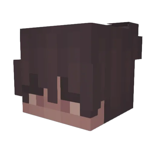 strawhatamir Minecraft avatar head, 3D render