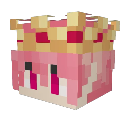 strawhatbuck Minecraft avatar head, 3D render