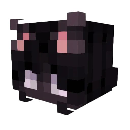 strawhatmoon Minecraft avatar head, 3D render