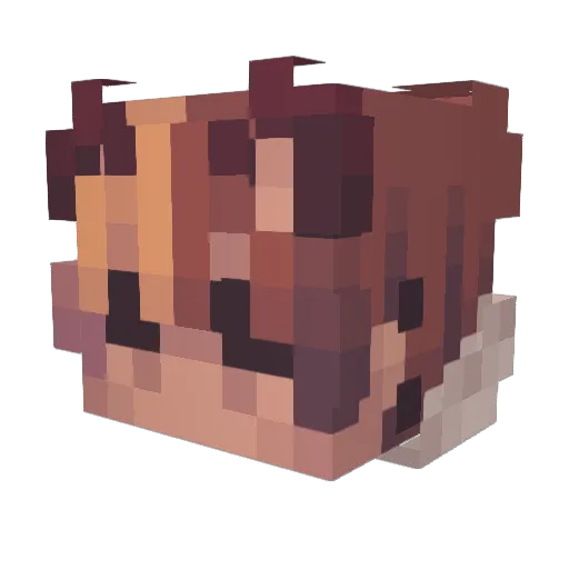 strawstrum Minecraft avatar head, 3D render