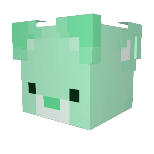 strawyy0 Minecraft avatar head, 3D render