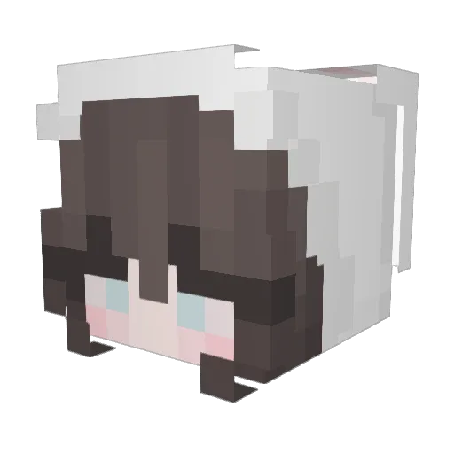 straykittnz Minecraft avatar head, 3D render