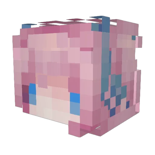 streetcatnip Minecraft avatar head, 3D render