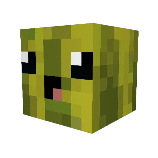 streetcool1234 Minecraft avatar head, 3D render