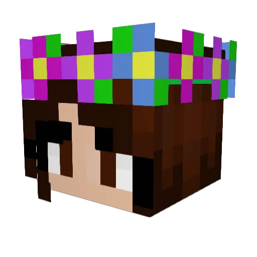 stressed247 Minecraft avatar head, 3D render