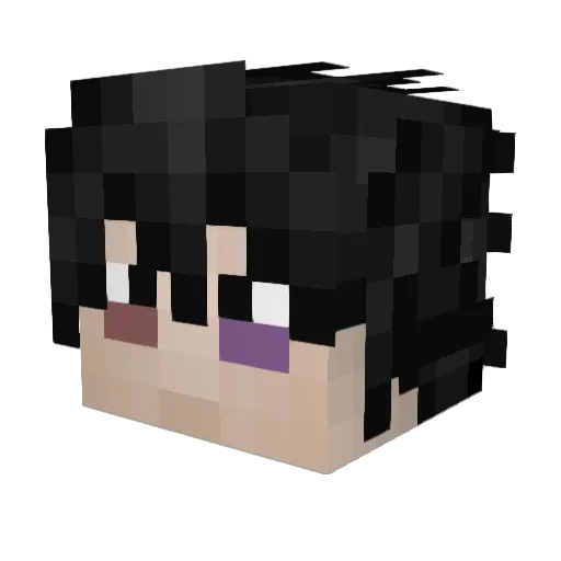 stresserip Minecraft avatar head, 3D render